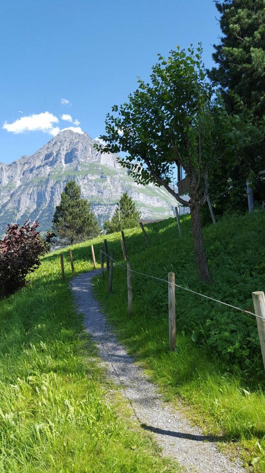 Chalet Waergistal Grindelwald Exterior foto