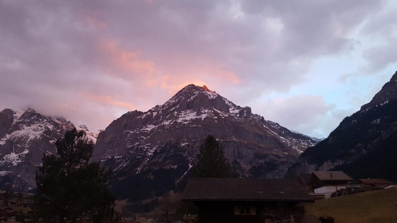 Chalet Waergistal Grindelwald Exterior foto