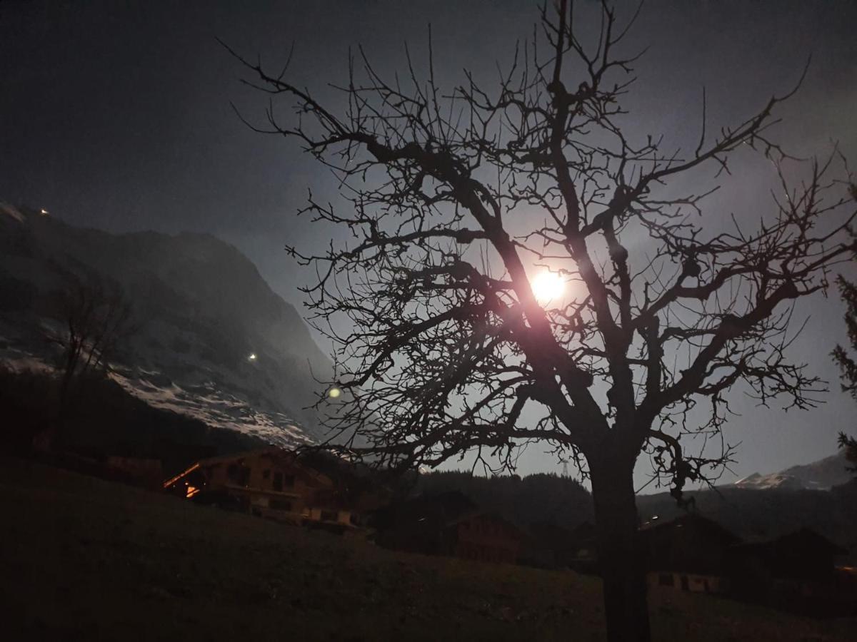 Chalet Waergistal Grindelwald Exterior foto
