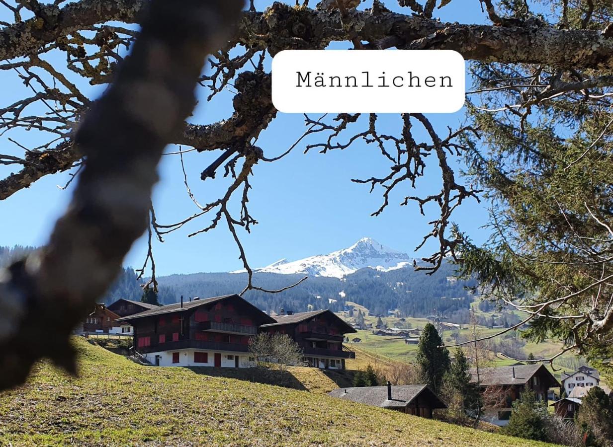 Chalet Waergistal Grindelwald Exterior foto
